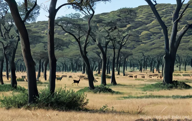 사슴 사냥 생태학 - **Prompt: Overpopulation's Toll on a Spanish Dehesa**
    "A wide shot of a degraded Spanish *dehesa...